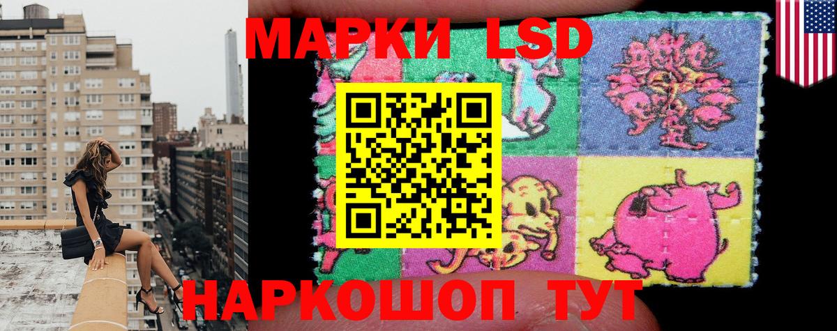 Марки N-bome 1500мкг  Марки N-bome 1500мкг  Нефтекумск  хочу   Вход с VPN 