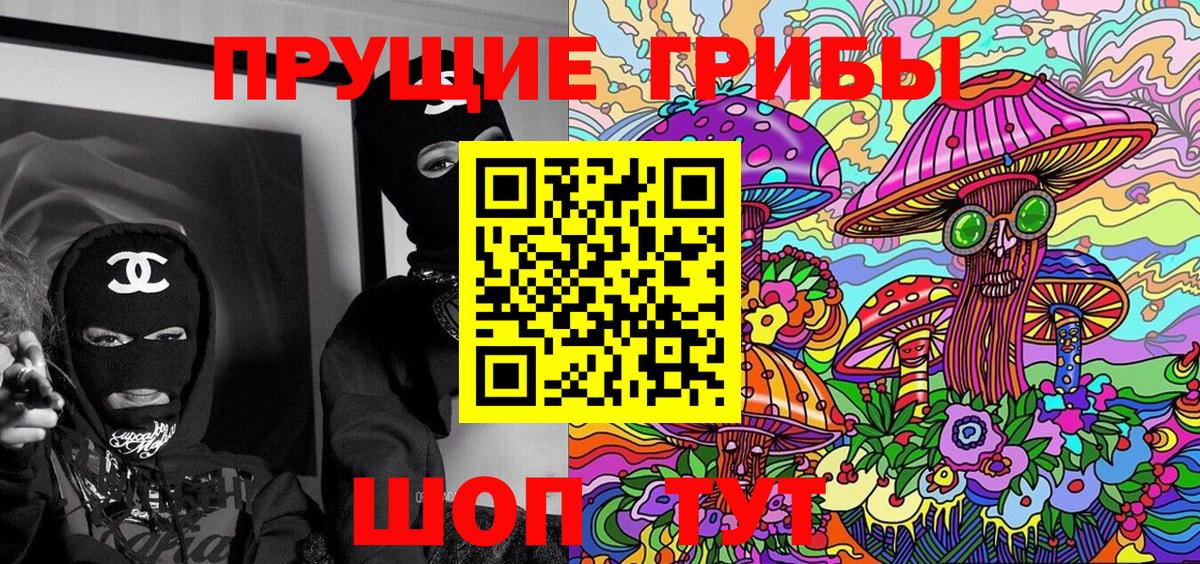Нефтекумск  Галлюциногенные грибы Psilocybine cubensis  Вход с VPN 